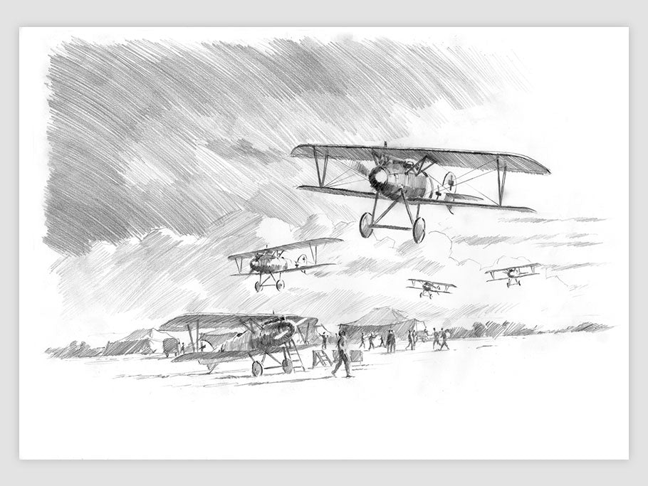 Albatross terrain - dessin original